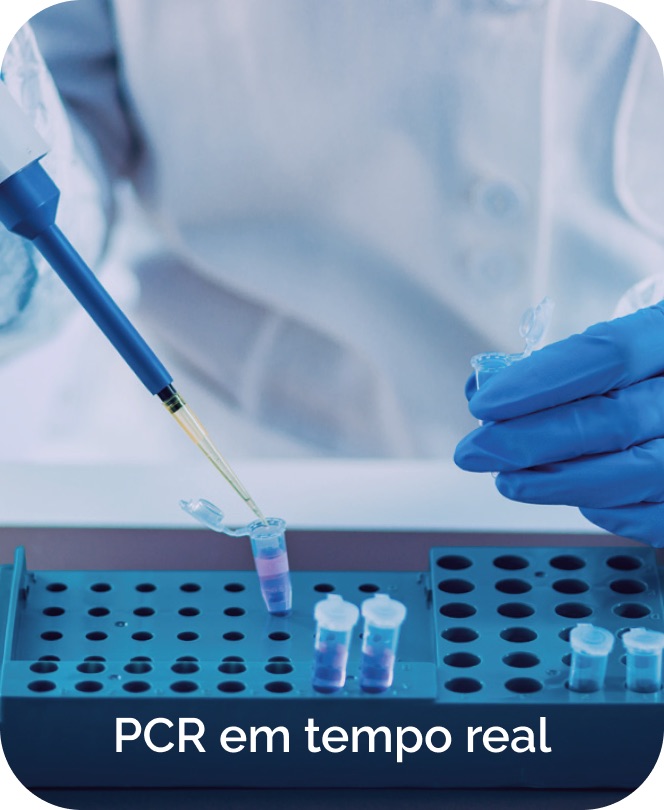 PCR em tempo real