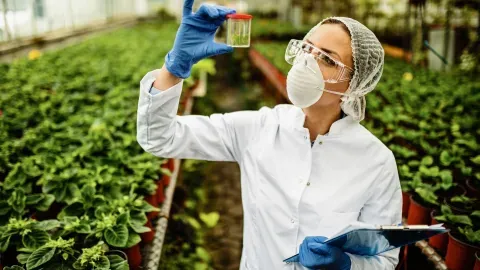 La pureza del ADN y el ARN es clave para que CRISPR funcione bien en el sector agroindustrial