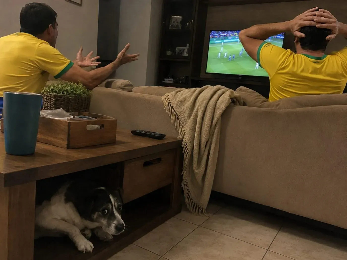 Brasil en el campo, con el corazón en un puño y la mascota a salvo