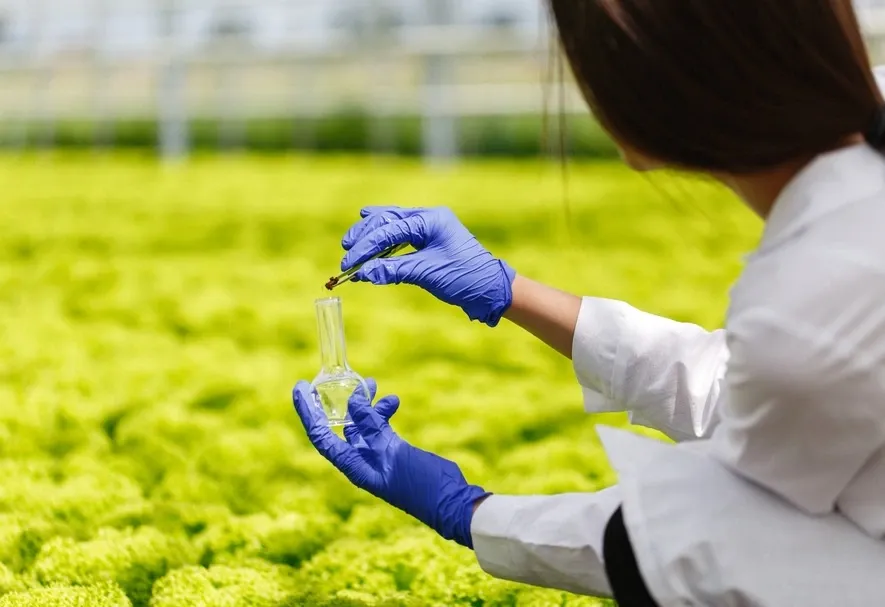La edición genética en la agricultura avanza y refuerza la demanda de precisión molecular